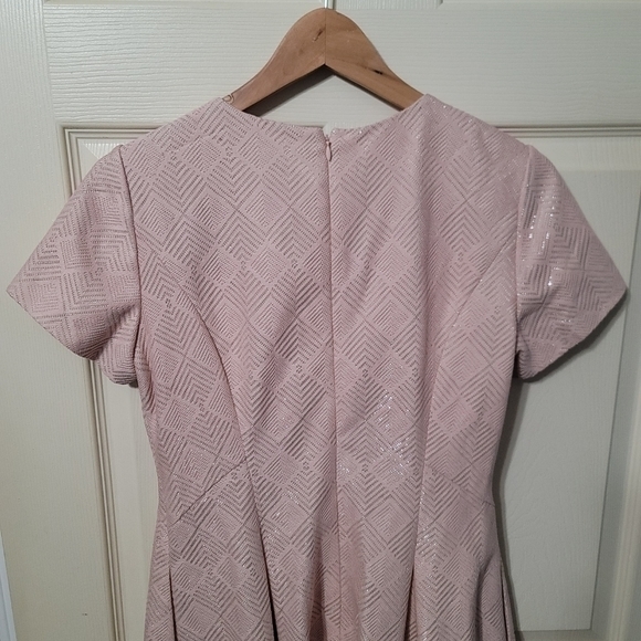 Vince Camuto 8 Lt Pink Short Sleeve Fit & Flare Dress Silver Lamé Metallic Fiber - Picture 6 of 13